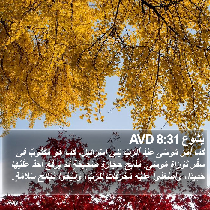 يَشُوع 8:31 AVD Bible Study