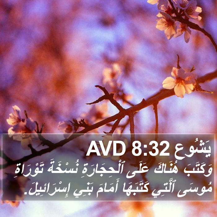 يَشُوع 8:32 AVD Bible Study