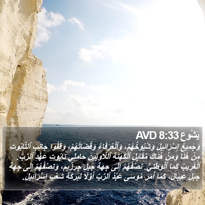 يَشُوع 8:33 AVD Bible Study