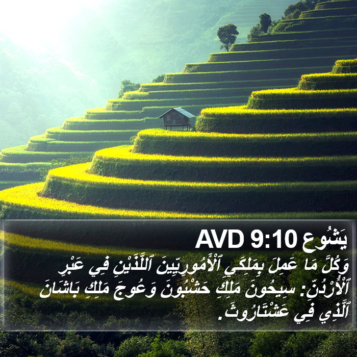 يَشُوع 9:10 AVD Bible Study