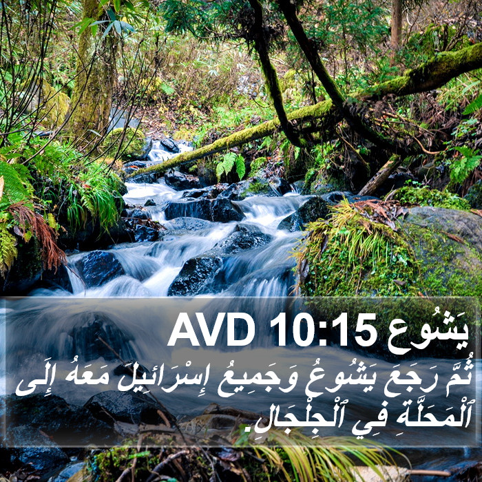 يَشُوع 10:15 AVD Bible Study