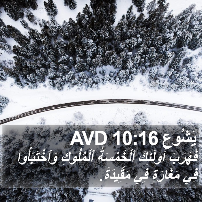 يَشُوع 10:16 AVD Bible Study