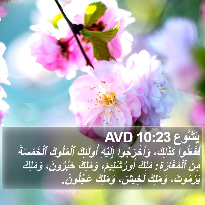 يَشُوع 10:23 AVD Bible Study