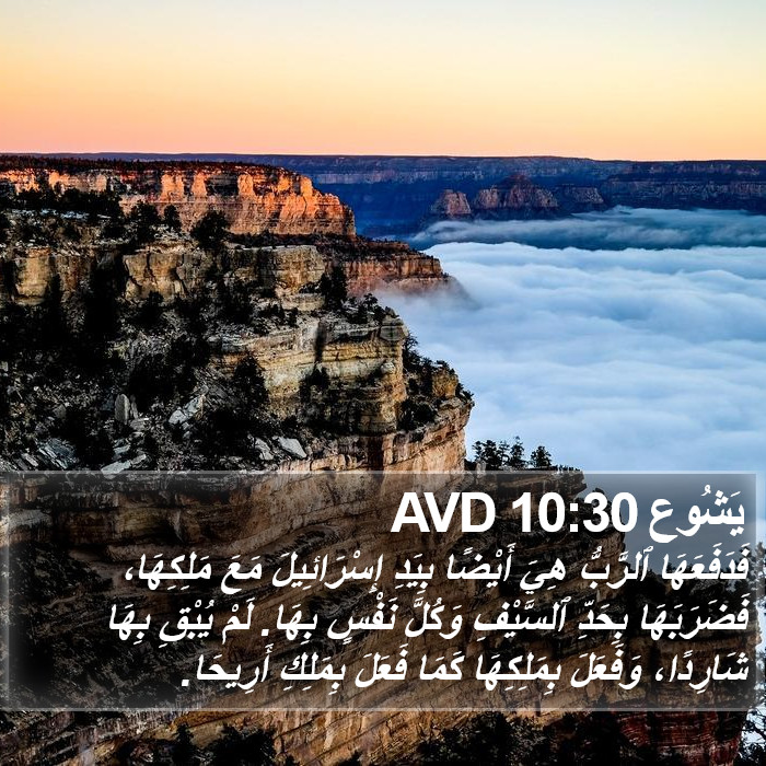 يَشُوع 10:30 AVD Bible Study