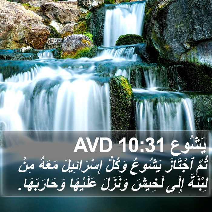 يَشُوع 10:31 AVD Bible Study