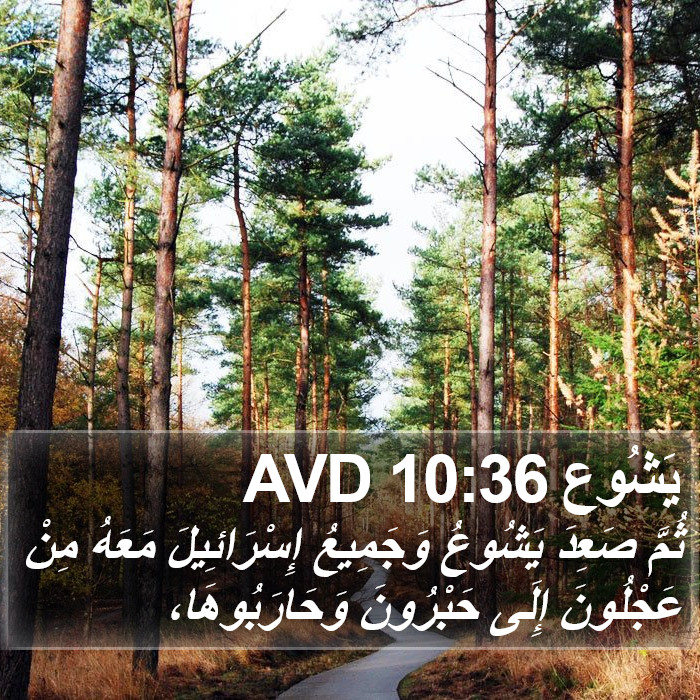 يَشُوع 10:36 AVD Bible Study