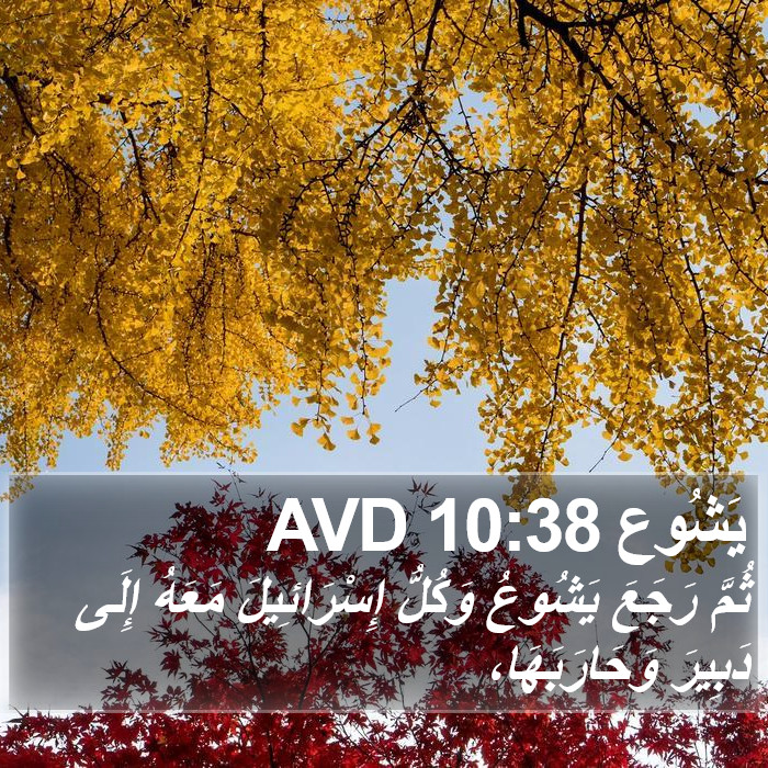 يَشُوع 10:38 AVD Bible Study