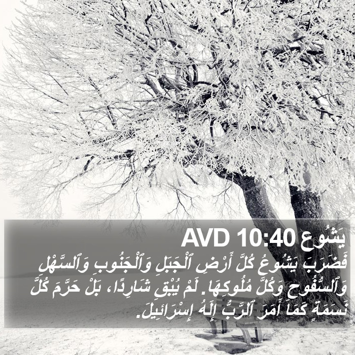 يَشُوع 10:40 AVD Bible Study