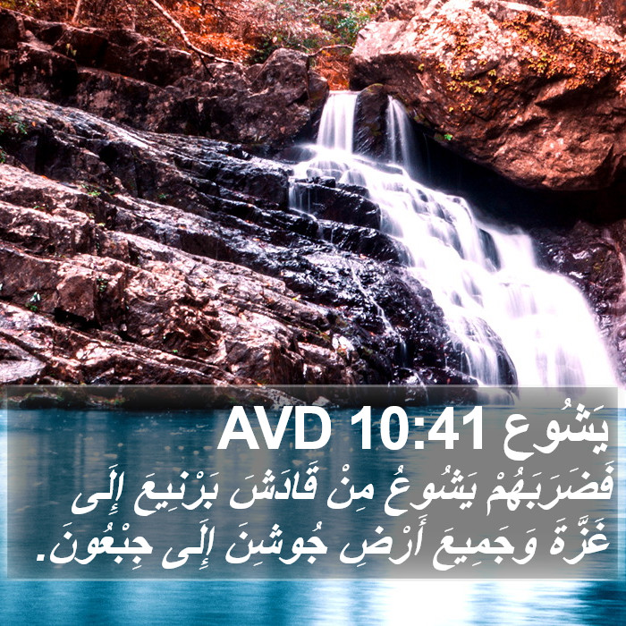 يَشُوع 10:41 AVD Bible Study