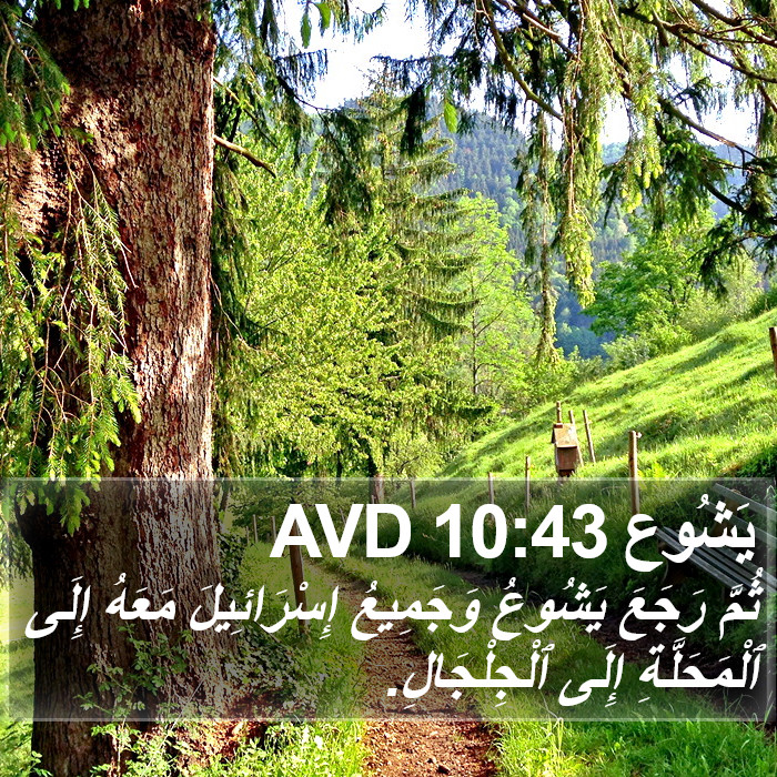 يَشُوع 10:43 AVD Bible Study