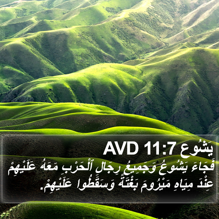 يَشُوع 11:7 AVD Bible Study