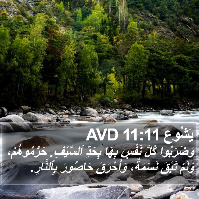 يَشُوع 11:11 AVD Bible Study