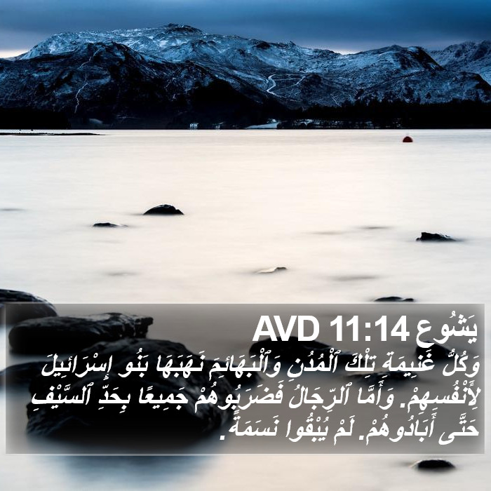 يَشُوع 11:14 AVD Bible Study