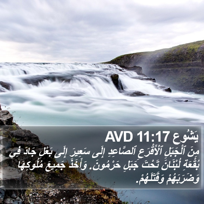 يَشُوع 11:17 AVD Bible Study