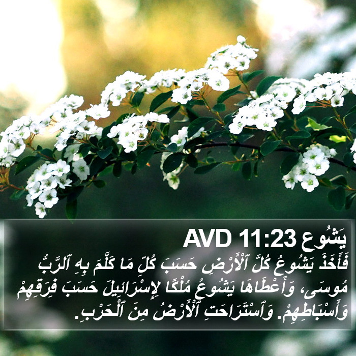 يَشُوع 11:23 AVD Bible Study