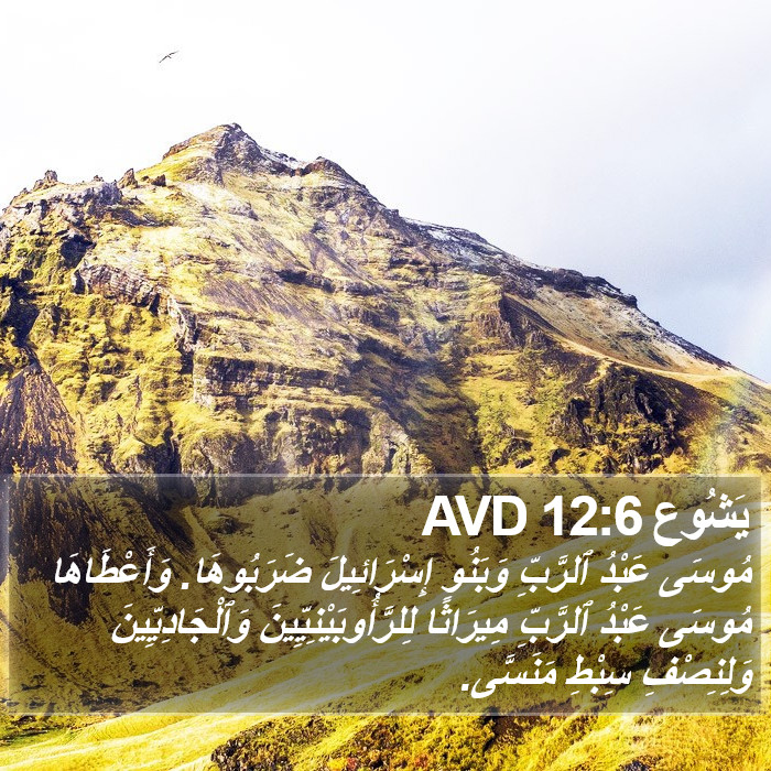 يَشُوع 12:6 AVD Bible Study