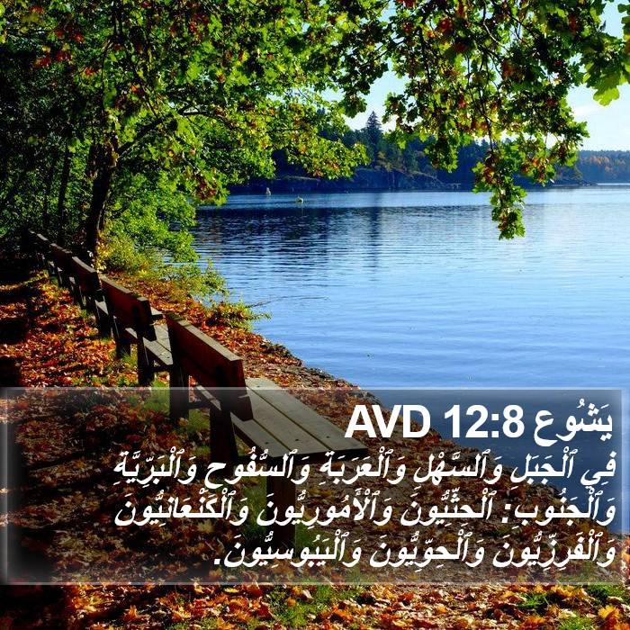 يَشُوع 12:8 AVD Bible Study