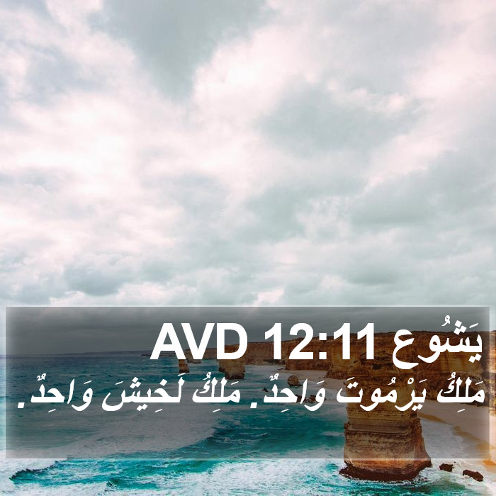 يَشُوع 12:11 AVD Bible Study