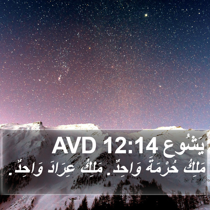 يَشُوع 12:14 AVD Bible Study