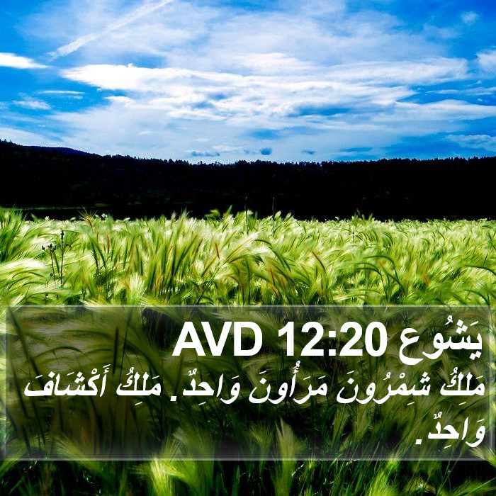 يَشُوع 12:20 AVD Bible Study