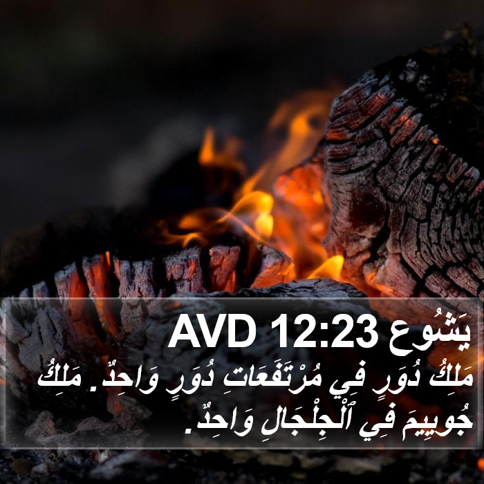 يَشُوع 12:23 AVD Bible Study