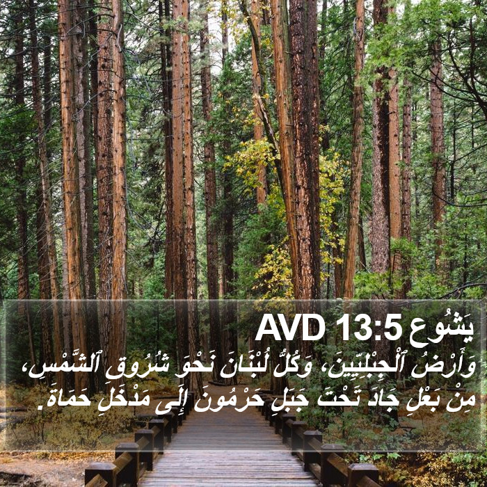 يَشُوع 13:5 AVD Bible Study