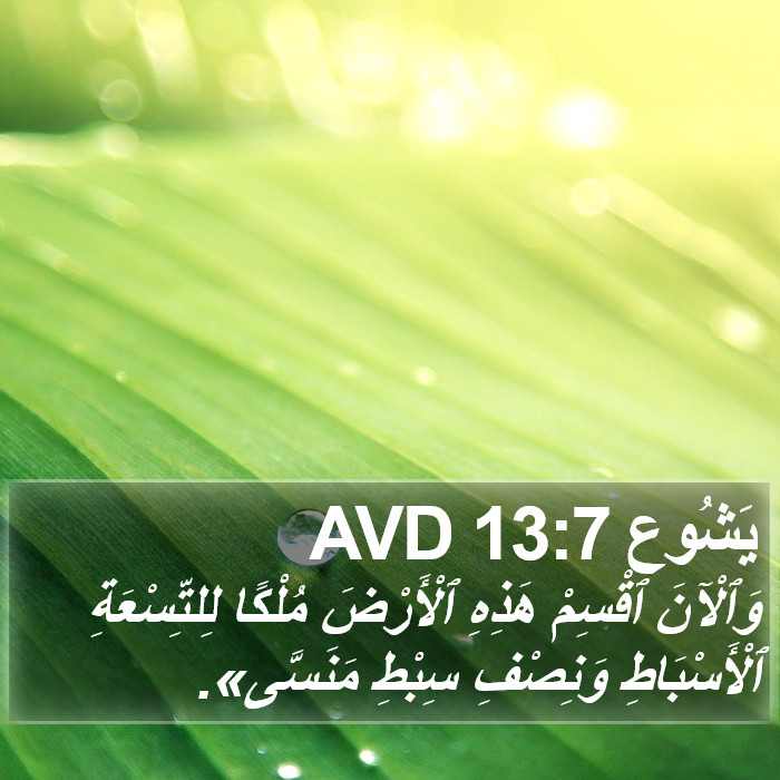 يَشُوع 13:7 AVD Bible Study