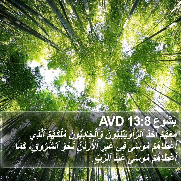 يَشُوع 13:8 AVD Bible Study