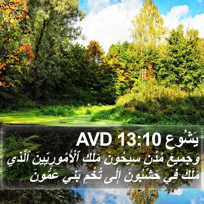 يَشُوع 13:10 AVD Bible Study