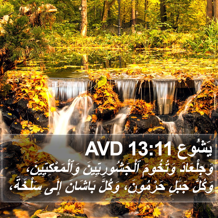 يَشُوع 13:11 AVD Bible Study