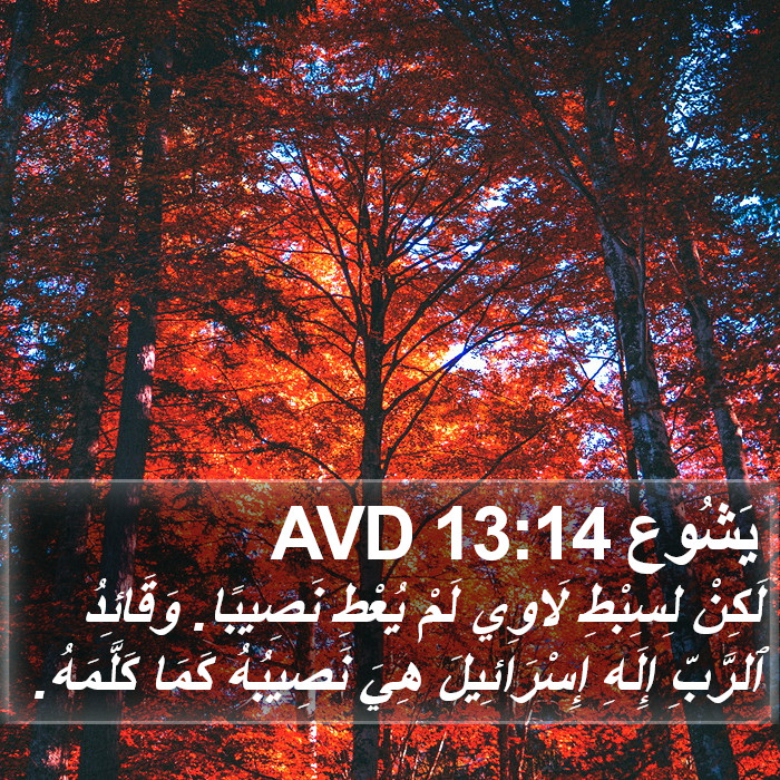 يَشُوع 13:14 AVD Bible Study