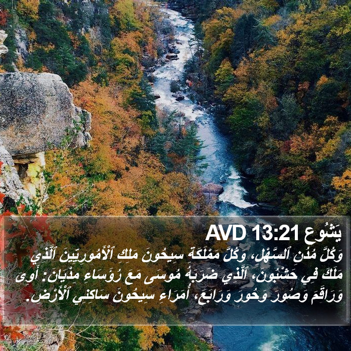 يَشُوع 13:21 AVD Bible Study