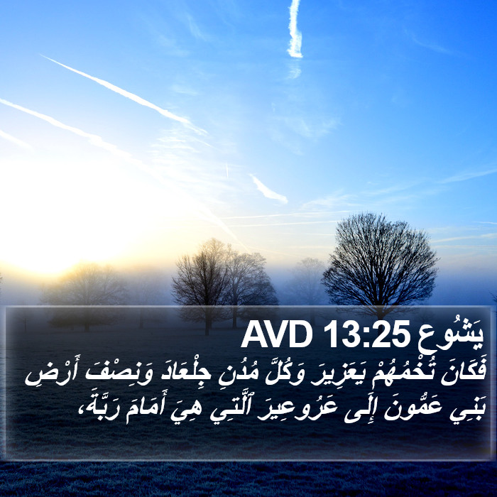 يَشُوع 13:25 AVD Bible Study