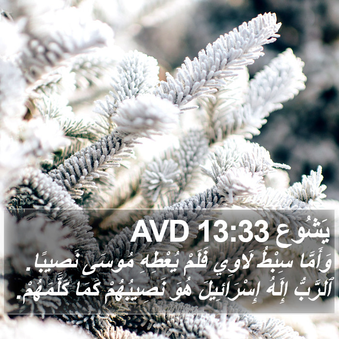 يَشُوع 13:33 AVD Bible Study