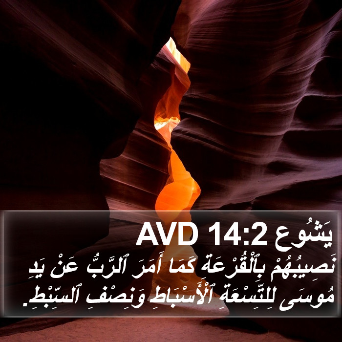 يَشُوع 14:2 AVD Bible Study