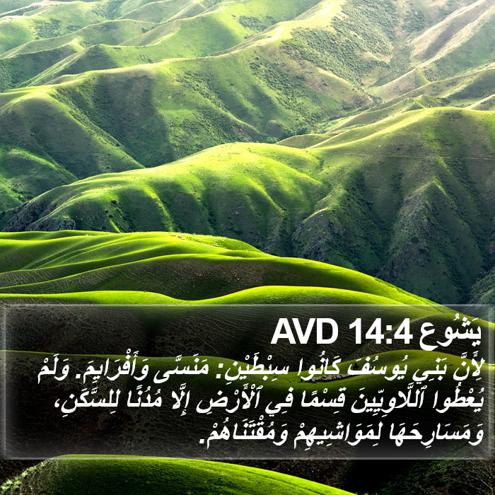 يَشُوع 14:4 AVD Bible Study