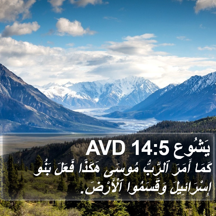 يَشُوع 14:5 AVD Bible Study