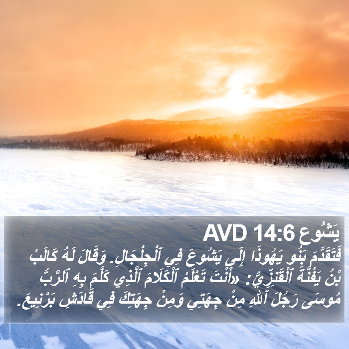 يَشُوع 14:6 AVD Bible Study