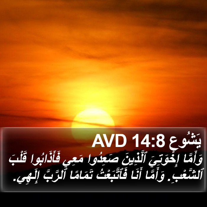 يَشُوع 14:8 AVD Bible Study