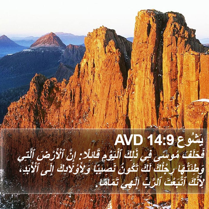 يَشُوع 14:9 AVD Bible Study