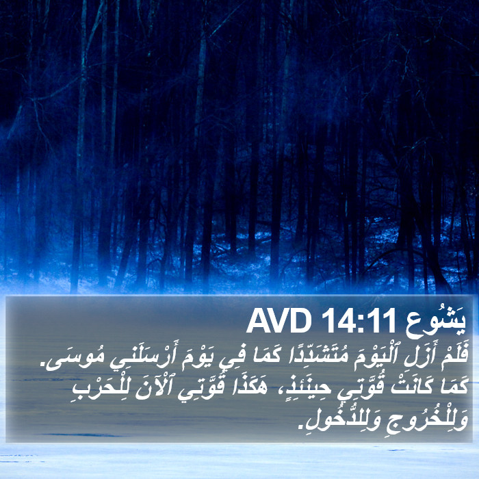 يَشُوع 14:11 AVD Bible Study