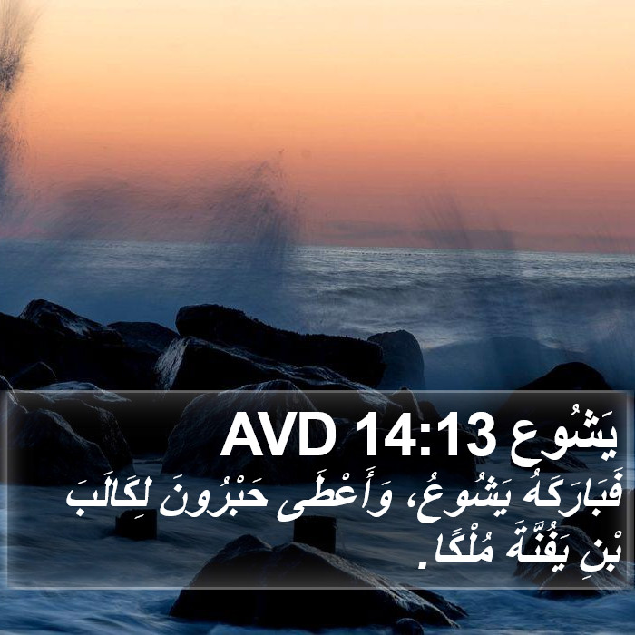 يَشُوع 14:13 AVD Bible Study