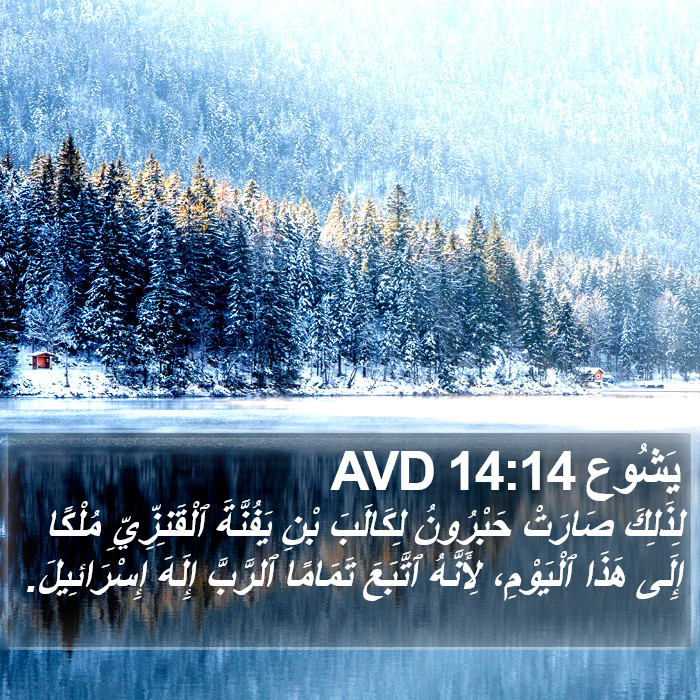 يَشُوع 14:14 AVD Bible Study