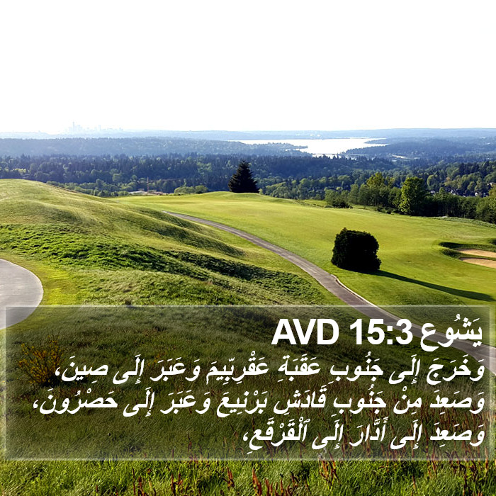 يَشُوع 15:3 AVD Bible Study