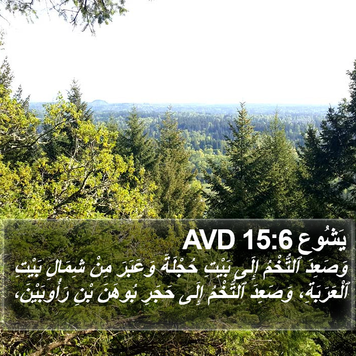 يَشُوع 15:6 AVD Bible Study