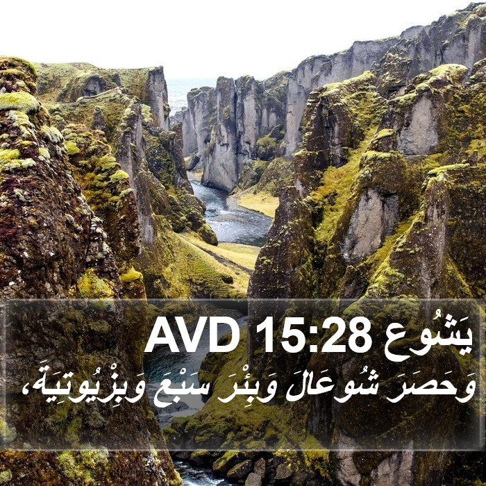 يَشُوع 15:28 AVD Bible Study