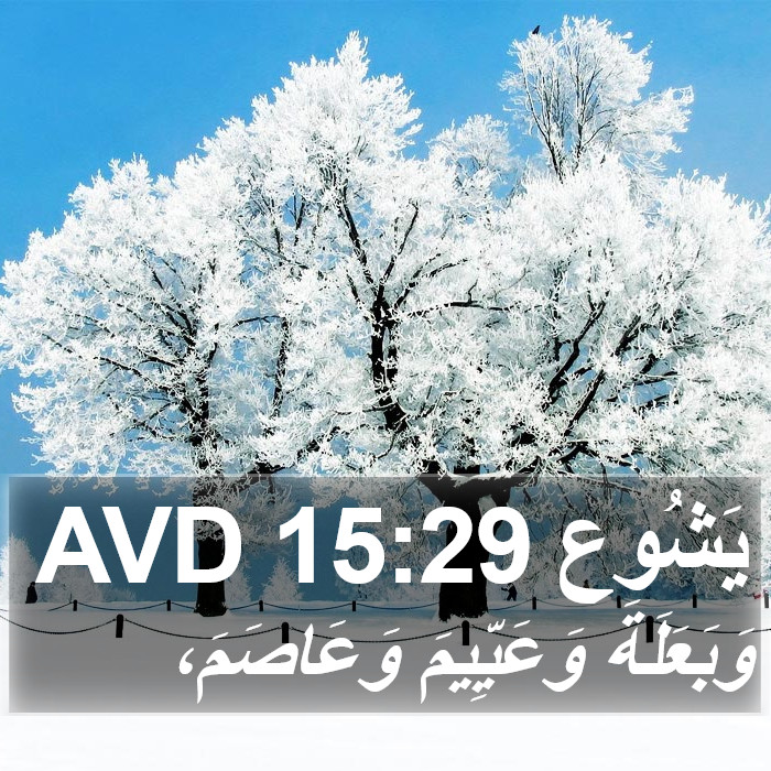 يَشُوع 15:29 AVD Bible Study