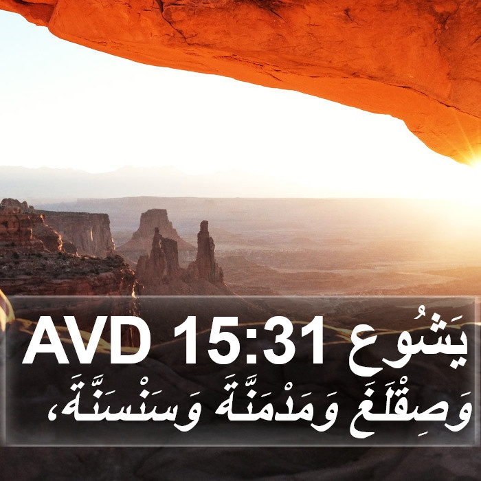 يَشُوع 15:31 AVD Bible Study