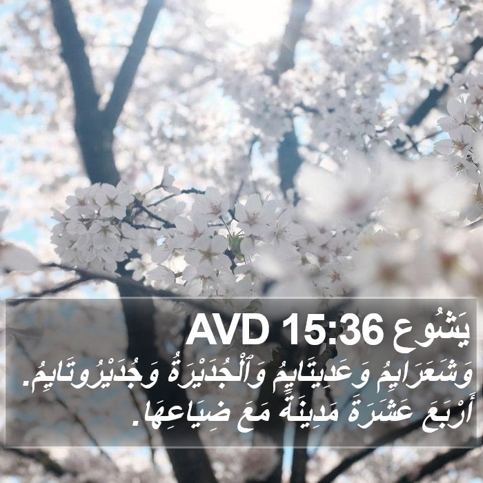 يَشُوع 15:36 AVD Bible Study