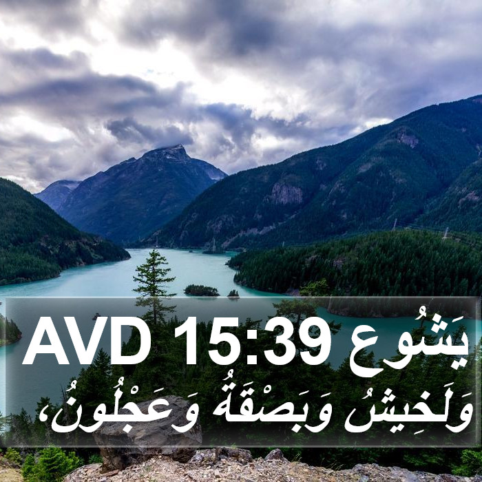 يَشُوع 15:39 AVD Bible Study